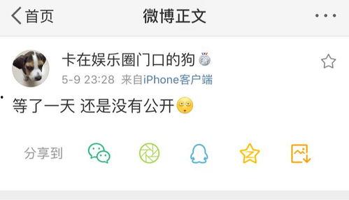 暴走吃瓜爆料免费观看,暴走吃瓜爆料，免费观看，精彩不容错过！