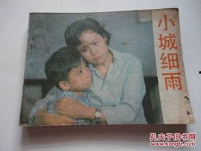 电影小城细雨在线观看,一场穿越时光的浪漫邂逅  第2张